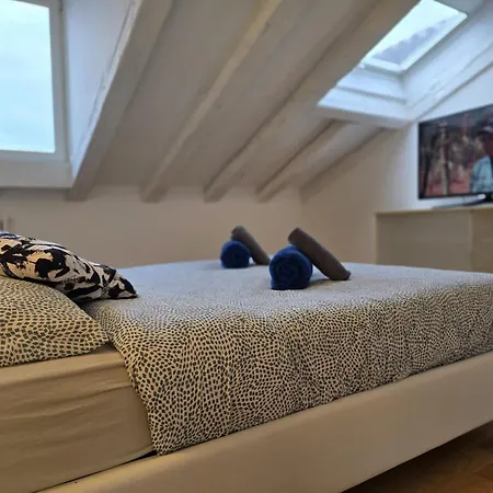 Mohho * ترييستي